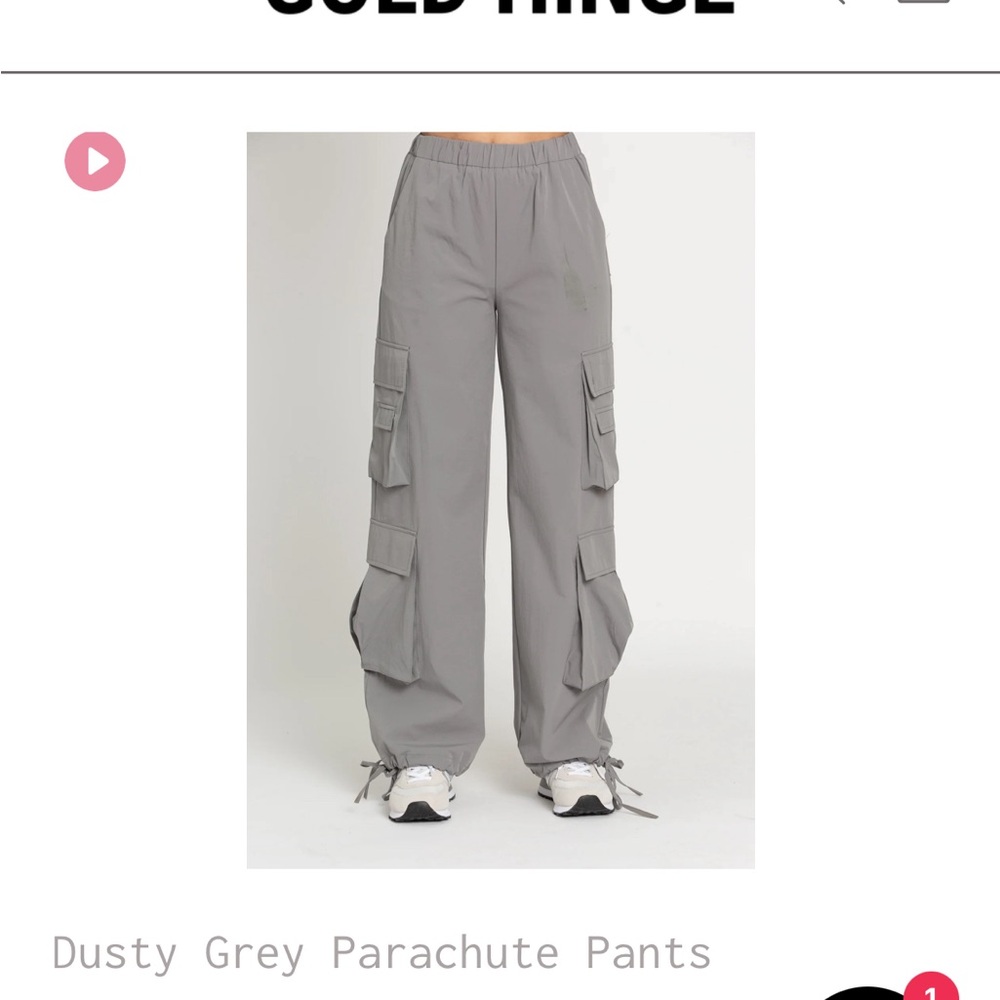 Gold Hinge Gray Parachute Cargo Pants